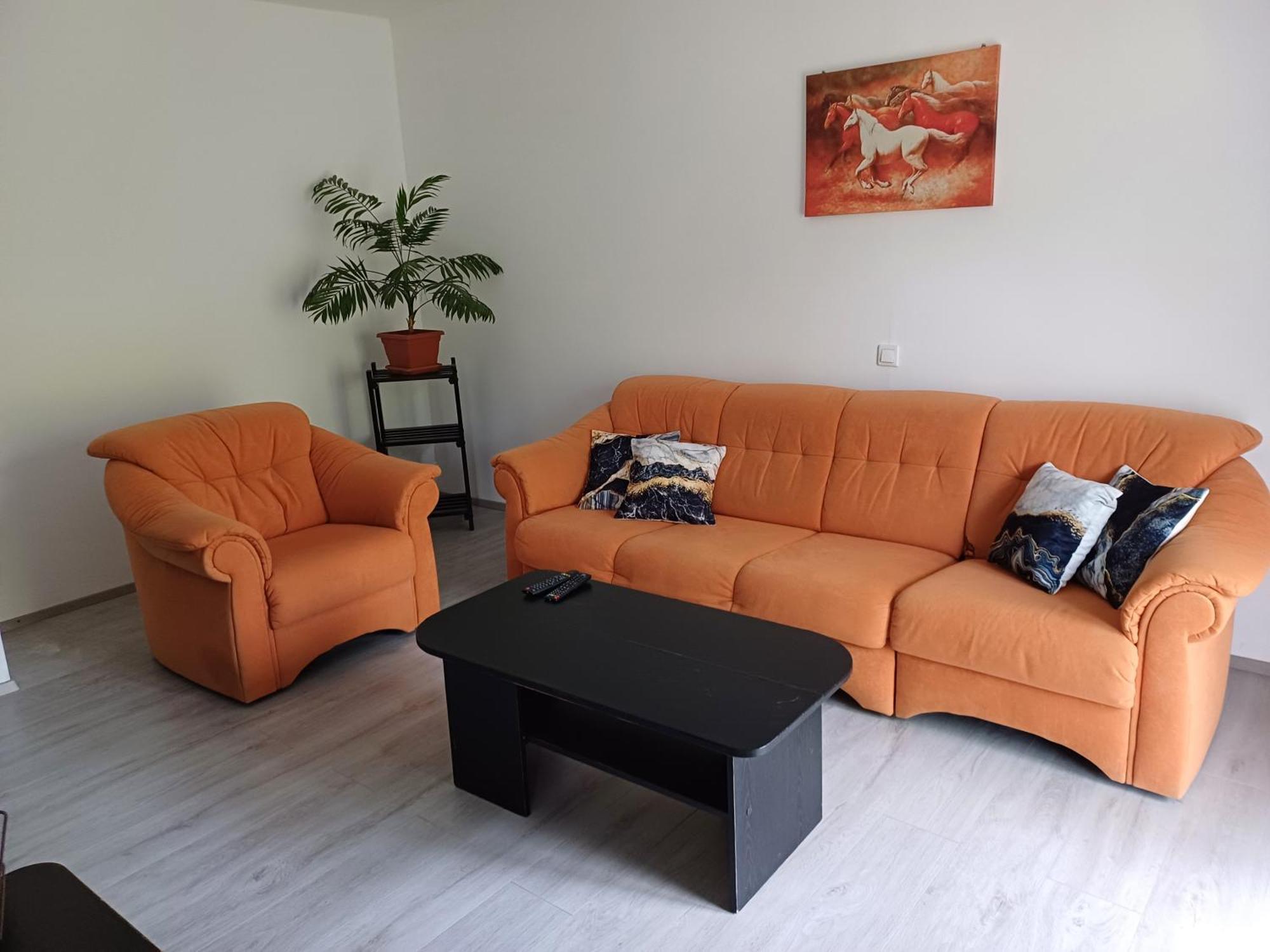 Apartma Ginga Osilnica Esterno foto
