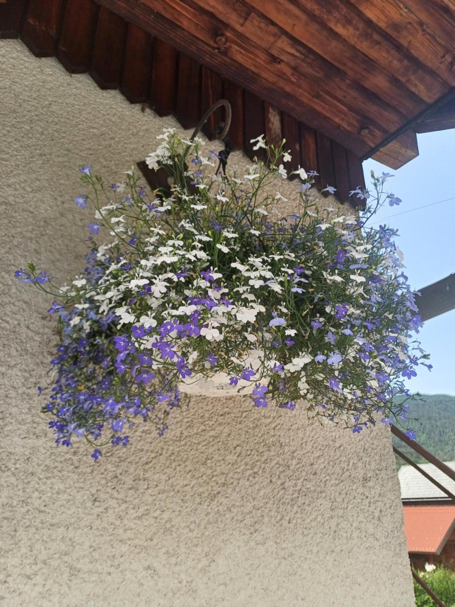 Apartma Ginga Osilnica Esterno foto